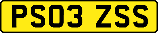PS03ZSS