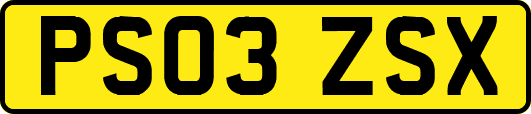 PS03ZSX