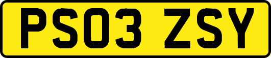 PS03ZSY