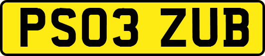 PS03ZUB