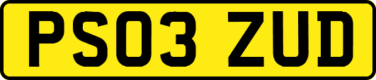 PS03ZUD