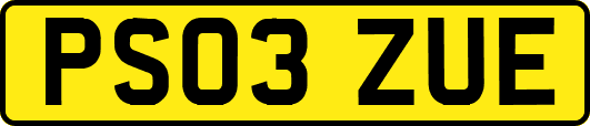 PS03ZUE