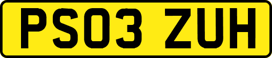 PS03ZUH