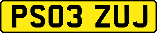 PS03ZUJ