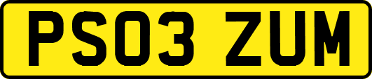 PS03ZUM