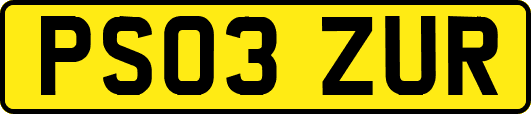 PS03ZUR