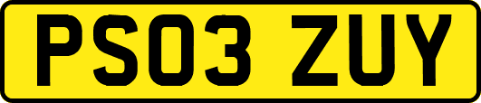 PS03ZUY