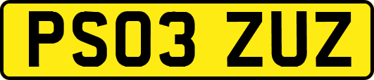 PS03ZUZ