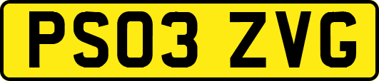 PS03ZVG