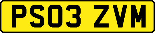 PS03ZVM
