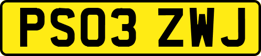 PS03ZWJ