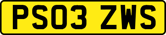 PS03ZWS