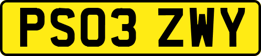 PS03ZWY
