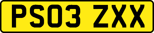 PS03ZXX