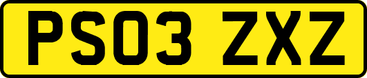 PS03ZXZ