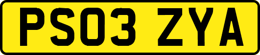 PS03ZYA