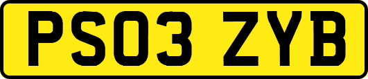 PS03ZYB