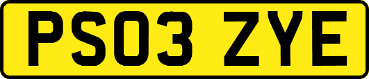 PS03ZYE