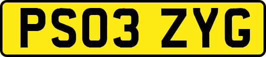 PS03ZYG
