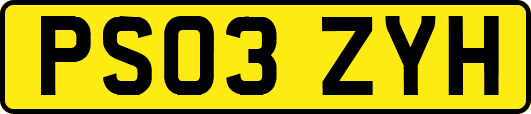 PS03ZYH