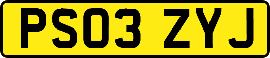 PS03ZYJ