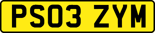 PS03ZYM