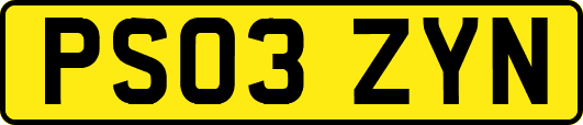 PS03ZYN