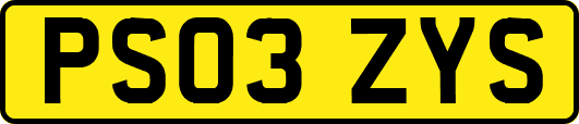 PS03ZYS