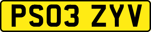 PS03ZYV