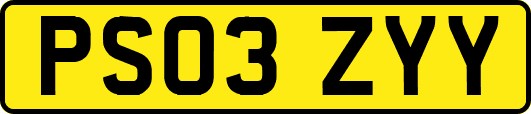 PS03ZYY