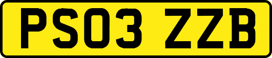 PS03ZZB