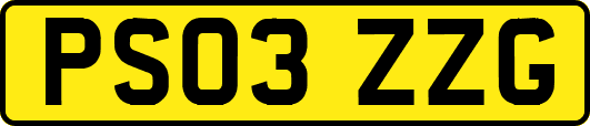 PS03ZZG