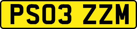 PS03ZZM