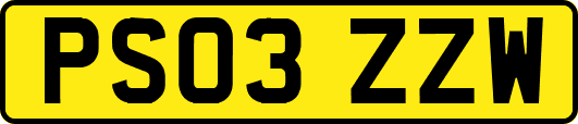 PS03ZZW