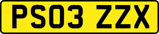 PS03ZZX