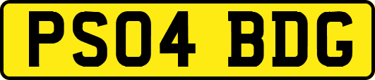 PS04BDG