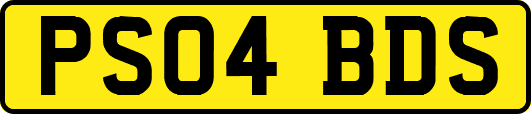 PS04BDS