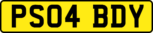 PS04BDY