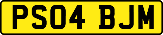 PS04BJM