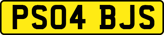 PS04BJS