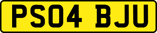 PS04BJU