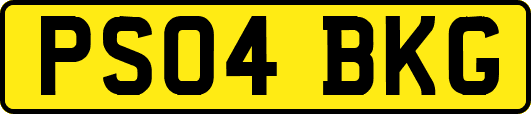 PS04BKG