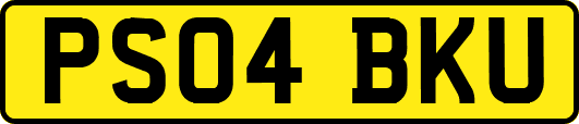 PS04BKU