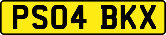PS04BKX
