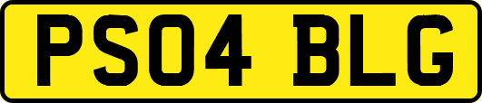 PS04BLG