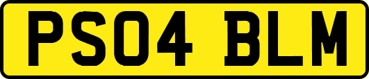PS04BLM