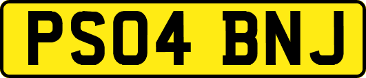 PS04BNJ