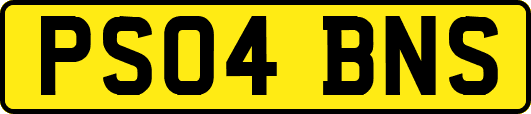 PS04BNS