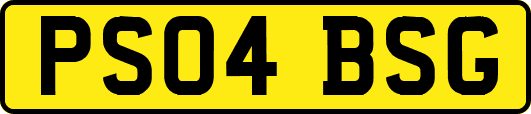 PS04BSG
