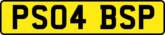PS04BSP